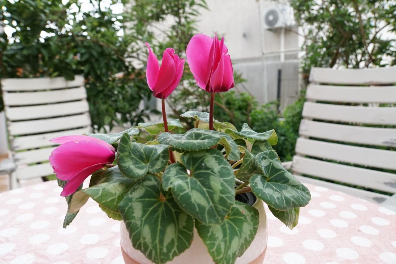 Apartment Flora Πούλα Εξωτερικό φωτογραφία